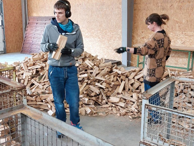Holz