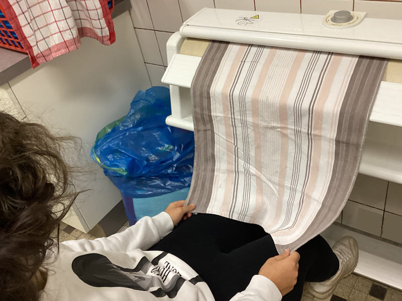 B&uuml;gelservice