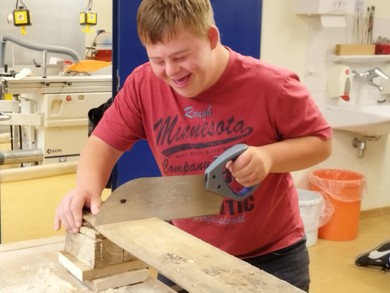 Sch&uuml;lerfirma "Holz"